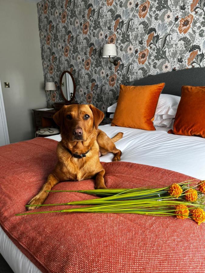 The Crown Pub And Hotel Manningtree Ngoại thất bức ảnh